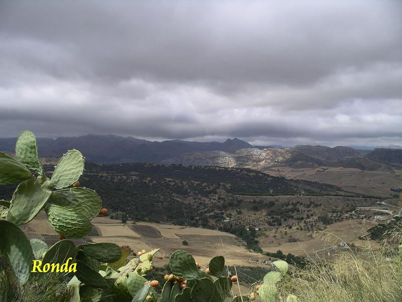 Andalusie 2008 145.jpg